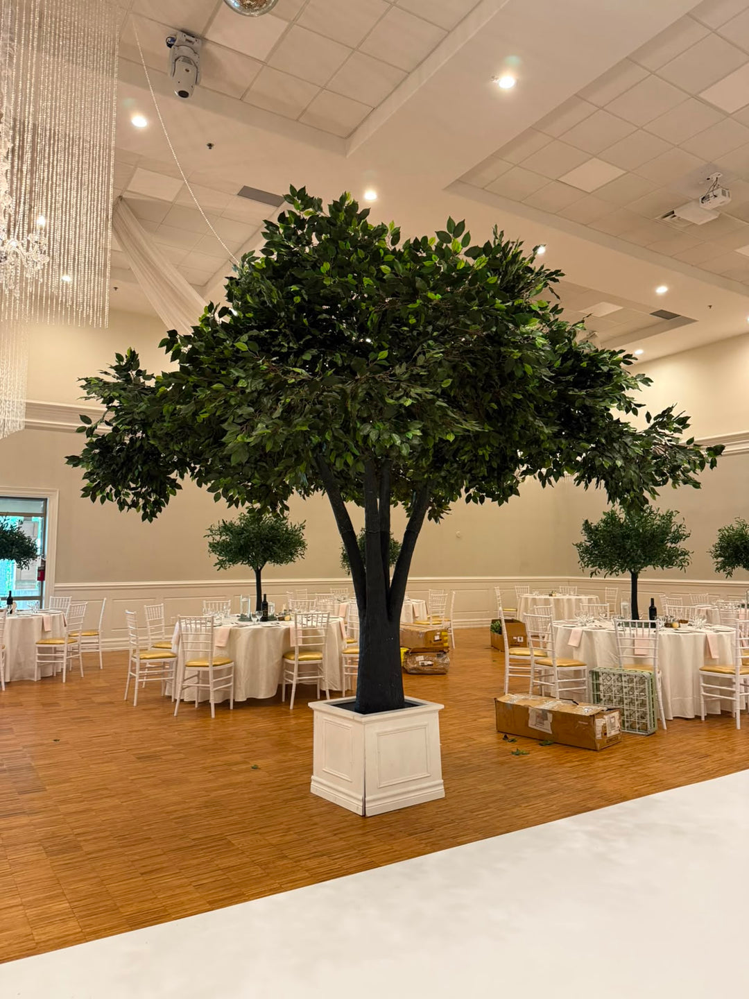 12ft Artificial Ficus Tree Rental