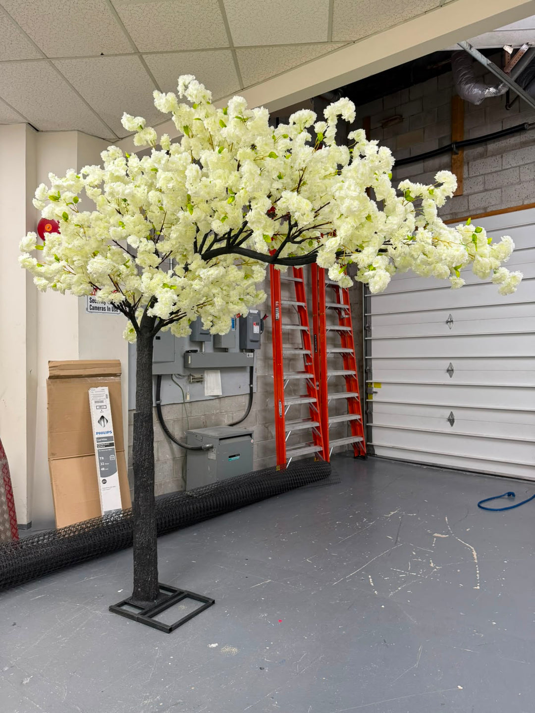 8ft Artificial Cream White Cherry Blossom Arch Tree Rental