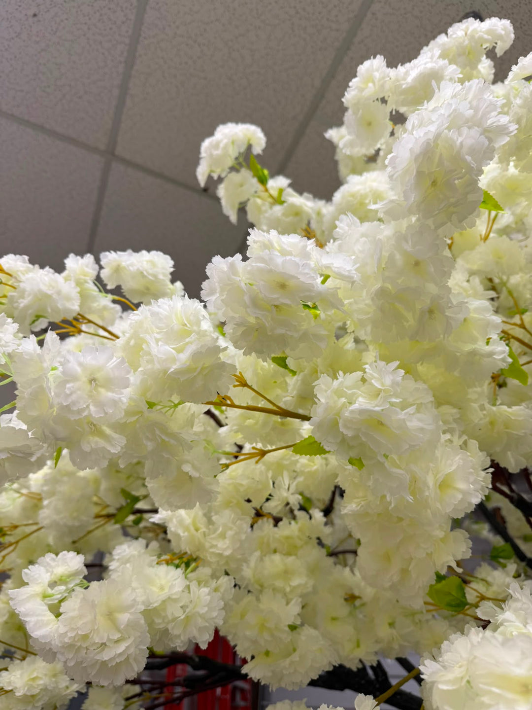 8ft Artificial Cream White Cherry Blossom Arch Tree Rental