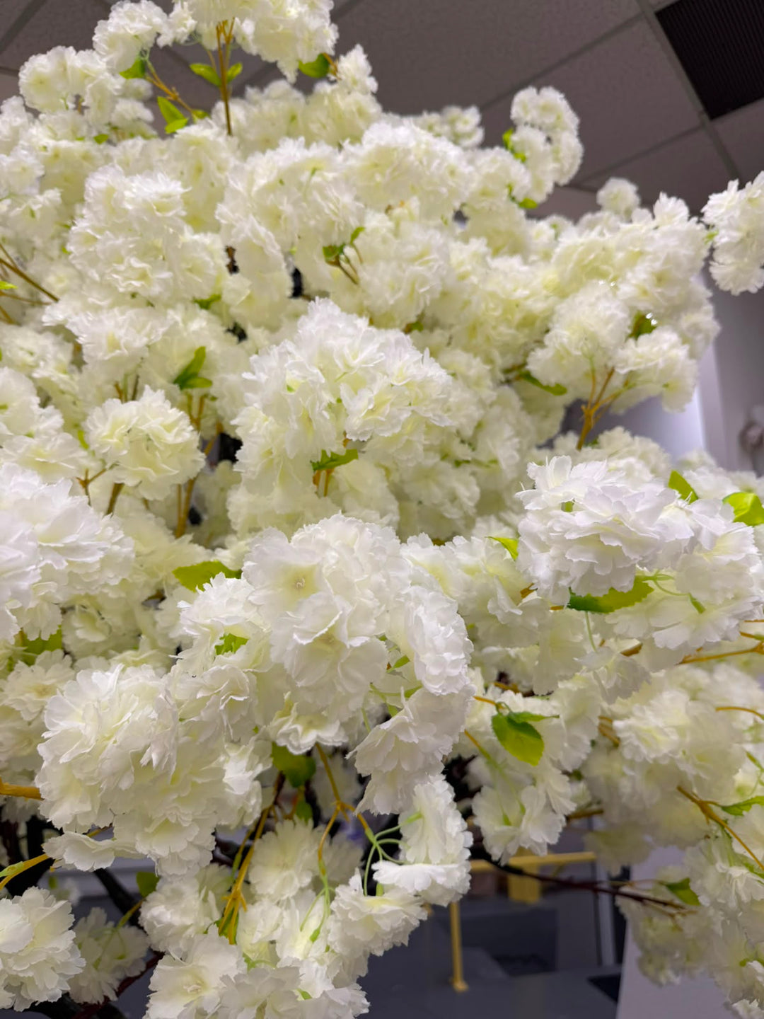 8ft Artificial Cream White with Green Leaves  Cherry Blossom Tree Rental