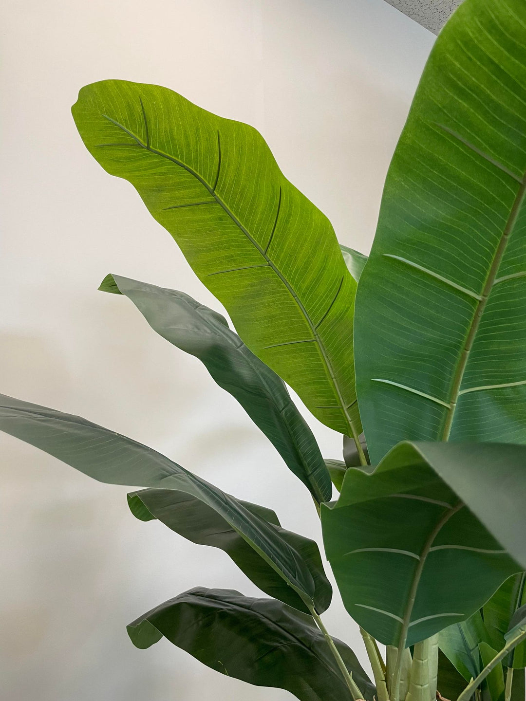 Close-up view of large, vibrant green leaves of an artificial banana plant, showcasing realistic texture and veining against a soft, neutral background