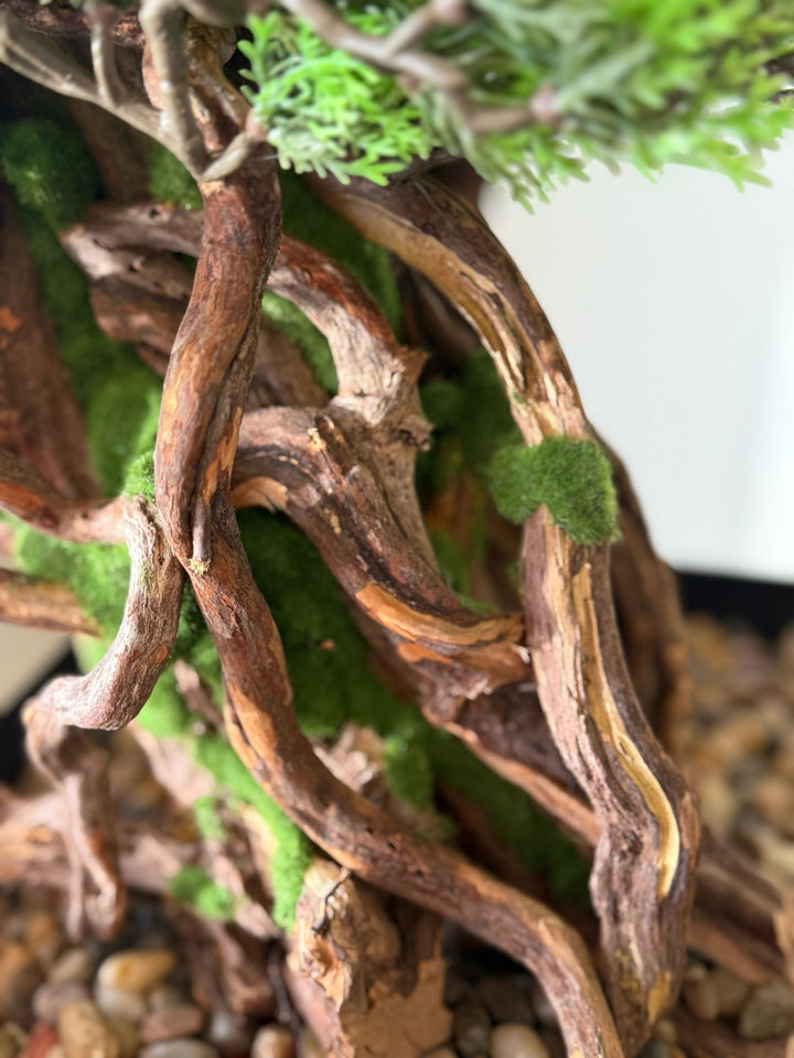 Close-up of artificial bonsai foliage with natural texture and detailed branching.