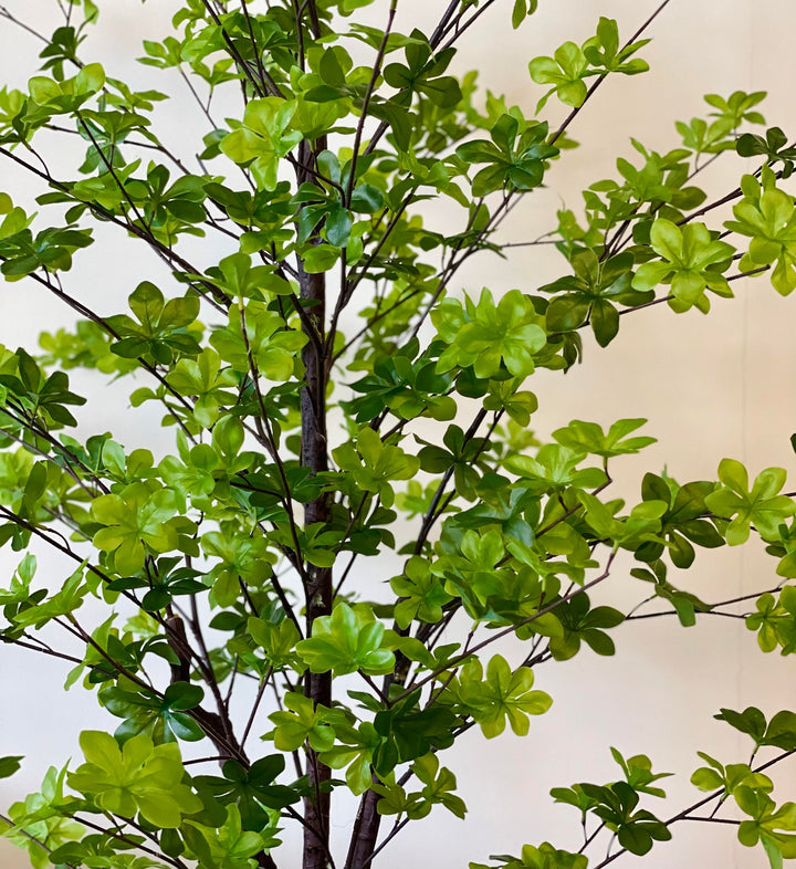 Close-up view of a lush artificial japanese bell plant with bright green leaves and dark stems, providing a vibrant and natural-looking addition to any interior decor.