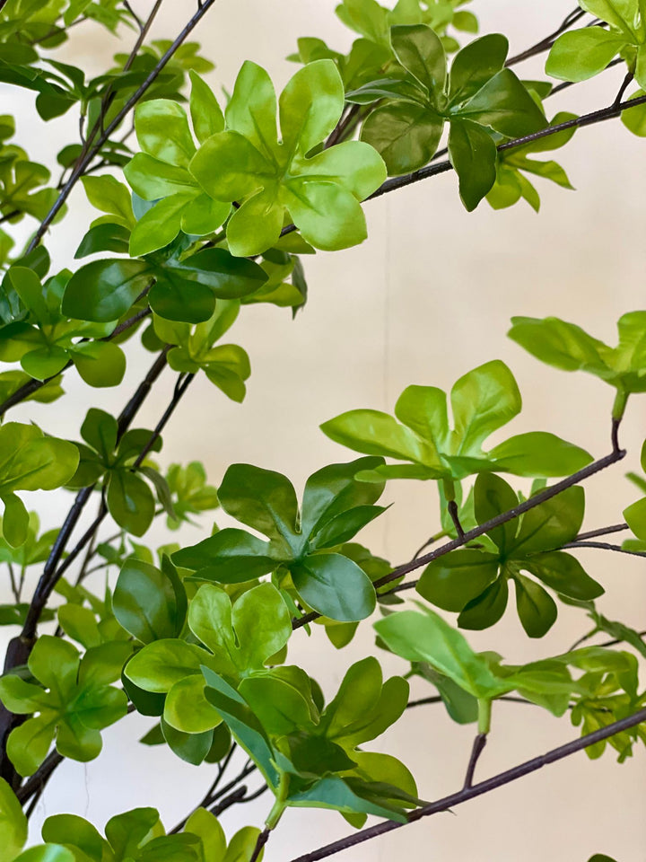 7ft Vibrant artificial japanese bell plant with dense, bright green foliage and dark branches, adding a fresh, natural look to indoor spaces