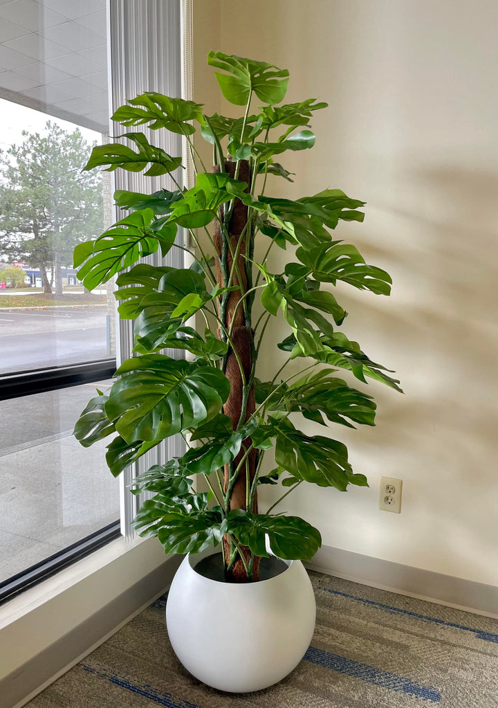 Tall artificial monstera plant placed in a sleek white planter near a window. 