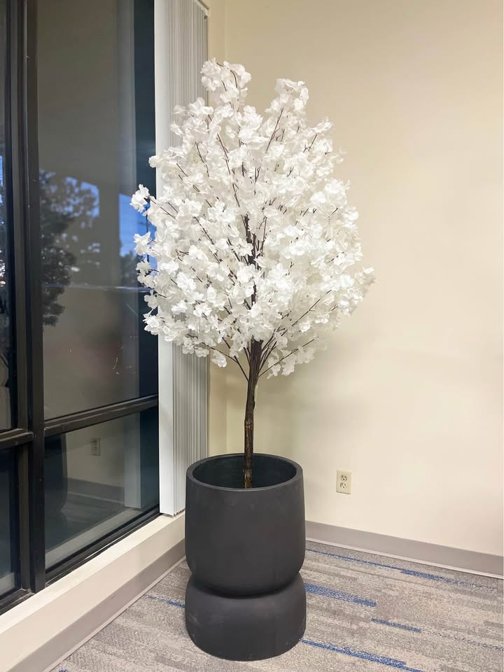White cherry blossom artificial tree placed beside a large glass window in a corner setting.