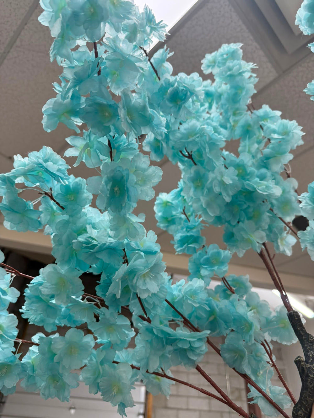 Light blue artificial cherry blossom tree branches with dense clusters flowers on a brown branch structure, photographed indoors against a ceiling and wall background.