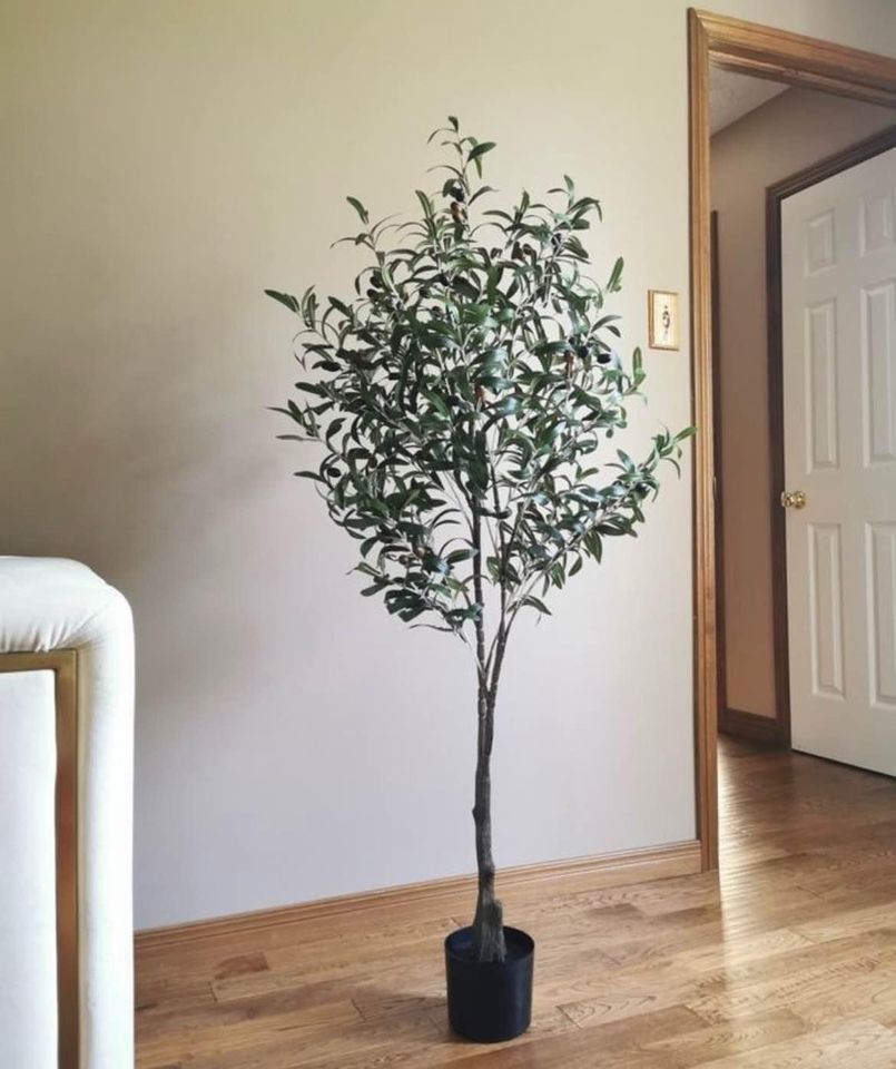 A realistic 5-foot artificial olive tree with lush green leaves and a slender brown trunk, placed in a black pot on a hardwood floor. The tree is positioned in a corner of a room with beige walls, adding a touch of greenery to the indoor decor. The setting includes a partial view of a white door and a white couch, creating a cozy and natural ambiance in the space