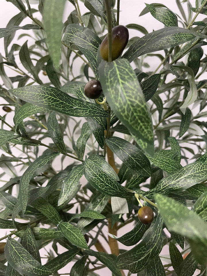 Close-up of an olive branch with green leaves and small olives on a blurred background