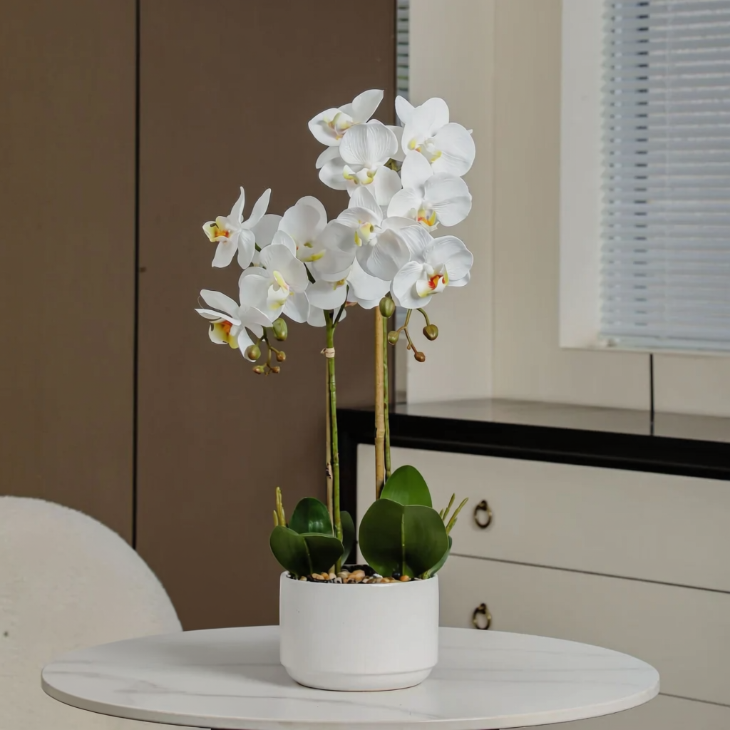 Beautiful white orchid arrangement in a white vase placed on a side table with a neutral background.
