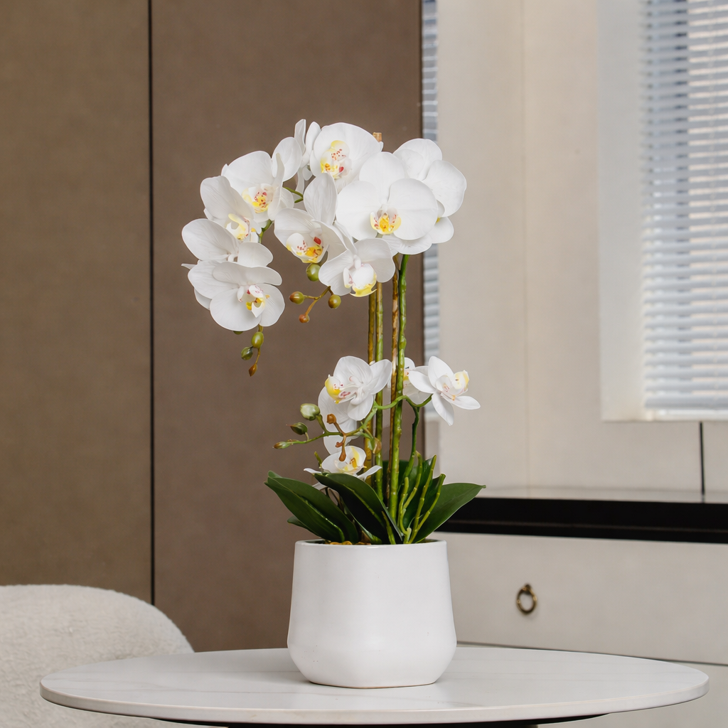 White orchid in a sleek white pot placed on a table with a neutral background.