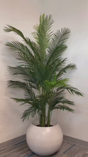 Load and play video in Gallery viewer, Artificial Palm Tree 7ft-(210cm)
