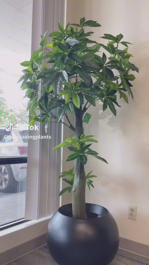 Artificial Money Tree - 6'