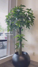 Load and play video in Gallery viewer, Artificial Money Tree - 6&#39;
