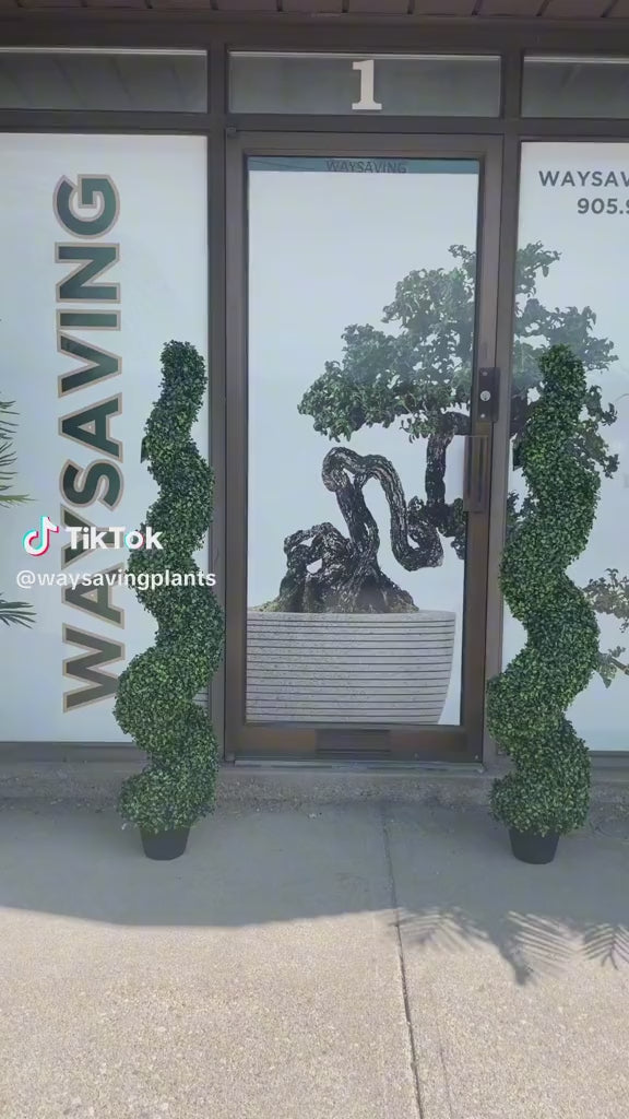 spiral topiary plants positioned in front of a modern storefront, waysaving adding a touch of sophistication and greenery to the entrance