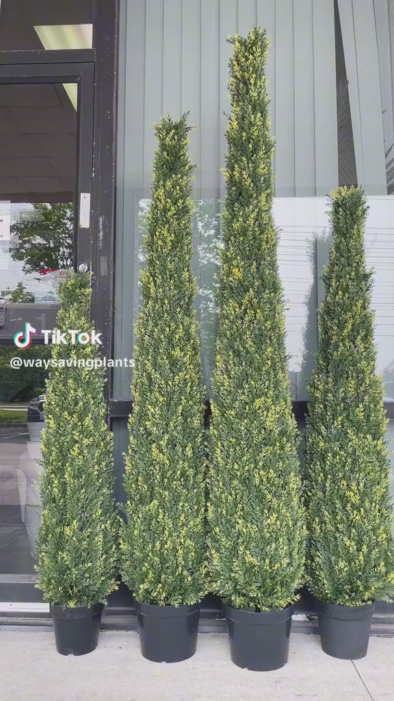 can you plant cedar trees in pots Artificial Cedar Tree 7 ft (UV Resistant)