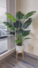 Load and play video in Gallery viewer, Artificial Monstera Plant ( Home) (5&#39;)
