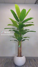Load and play video in Gallery viewer, Artificial Banana Tree - 10&#39;
