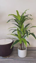 Load and play video in Gallery viewer, Artificial Plant 5ft (150cm)
