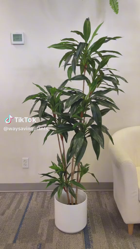 Indoor yucca plant in a sleek white pot, placed next to a cozy white armchair, adding a touch of greenery to the modern office or living room environment