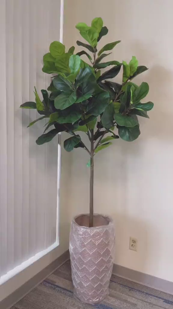 A tall indoor plant with broad green leaves placed in a white cylindrical pot, positioned near a bright window that allows natural light to highlight its vibrant foliage.