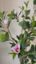 Load and play video in Gallery viewer, Modern office setting with a lush indoor plant in a round white planter, placed beside vertical blinds on a large window, against a beige wall.
