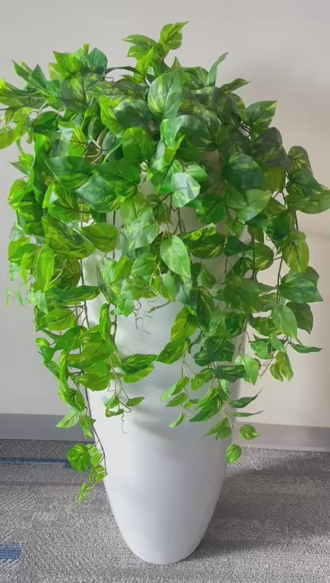 Vivid Hanging Green Stems