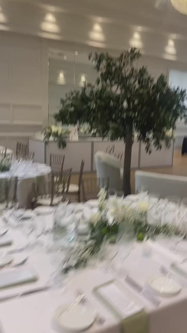 10ft Ficus Tree Rental