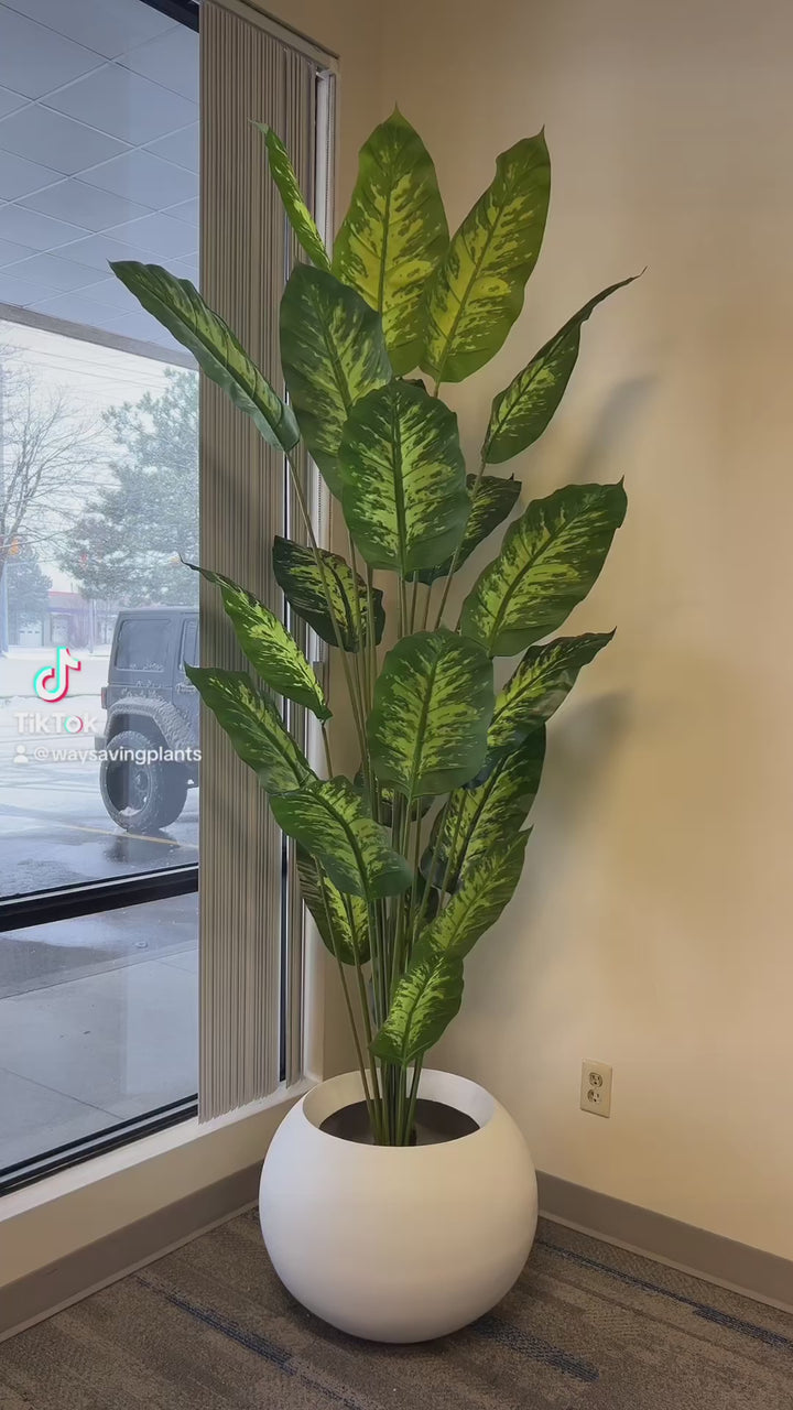 Artificial Dieffenbachia plant - 8'