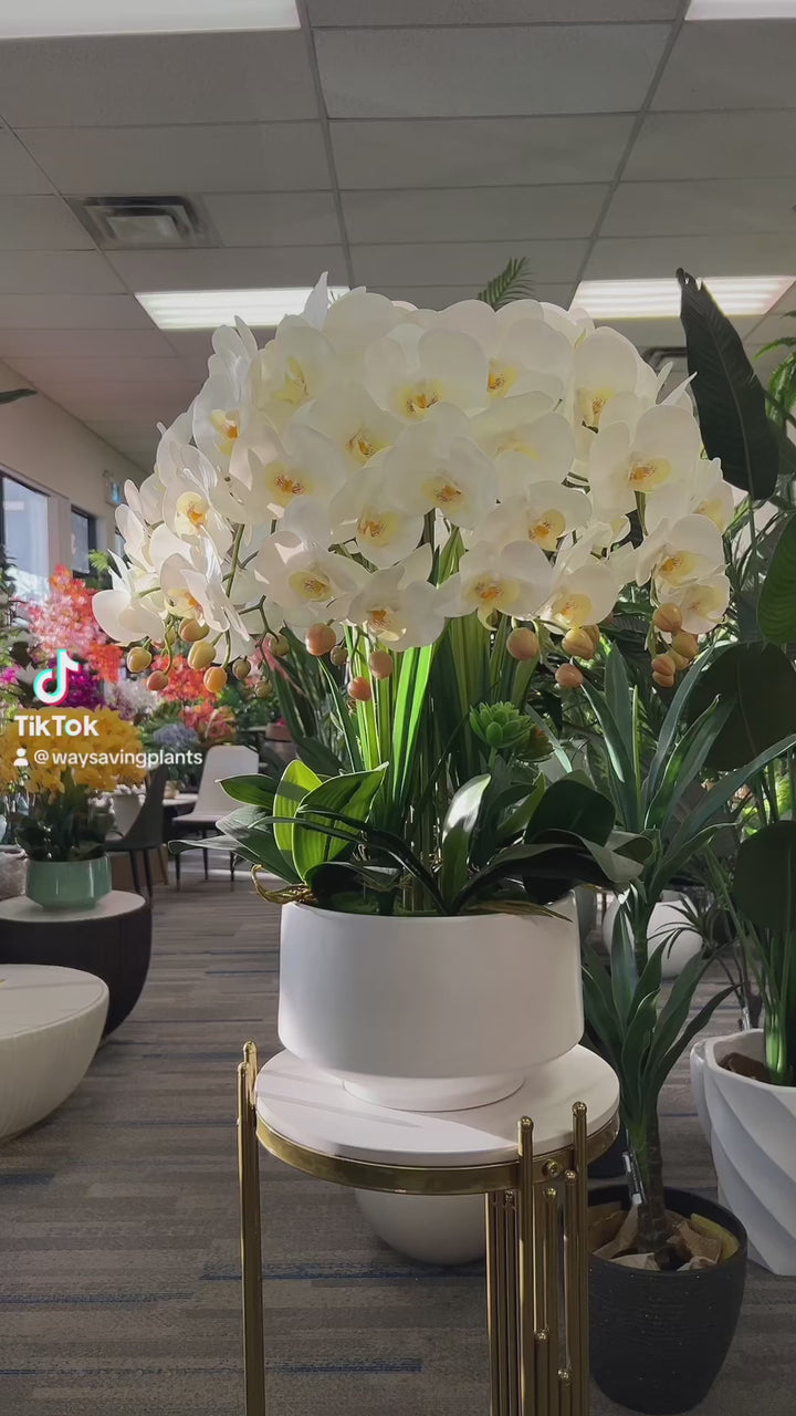 A large arrangement of artificial white orchids with lush green leaves in a modern white planter. Frequently asked question: What are the best planters to use for artificial plants to enhance their aesthetic appeal?