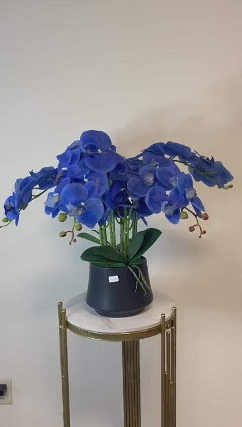 Artificial Orchid with Black Pot - Blue