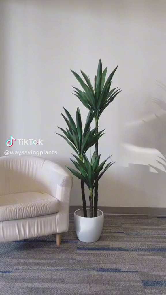 a tall indoor plant with lush green leaves, arranged in a white planter next to a beige armchair. The sleek, elongated leaves add a contemporary and elegant touch to the decor, complementing the neutral color palette of the room. The setup creates a minimal yet refreshing ambiance, ideal for both residential and office spaces.