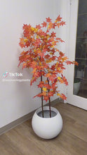 Load and play video in Gallery viewer, Artificial Maple tree - 5&#39;

