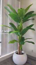 Load and play video in Gallery viewer, Artificial Banana tree - 8&#39;
