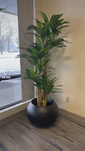 Load and play video in Gallery viewer, Artificial Yucca tree - 6&#39;
