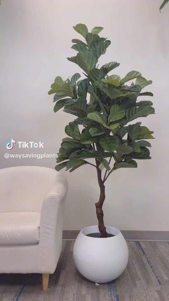 Artificial Fiddle Tree - 6'