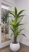 Load and play video in Gallery viewer, Artificial Yucca Plant with Green leaves 6ft (180cm)
