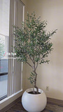 Load and play video in Gallery viewer, Artificial Olive tree - 7&#39;
