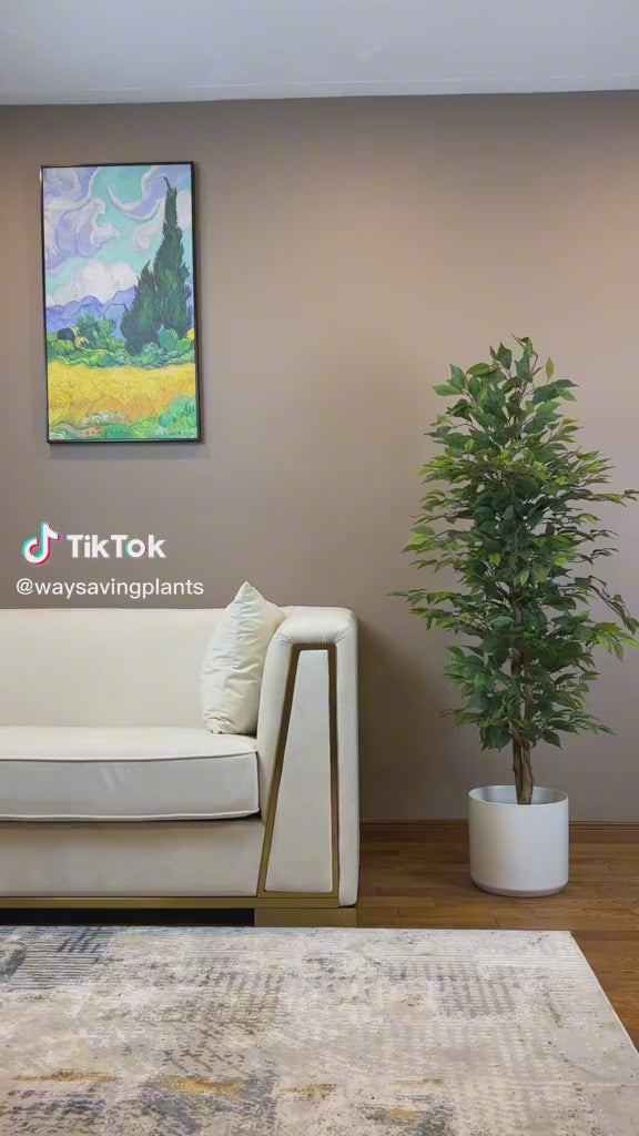 Artificial Ficus Plant (5 ft)
