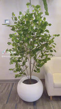 Load and play video in Gallery viewer, Artificial Biloba tree - 6&#39;
