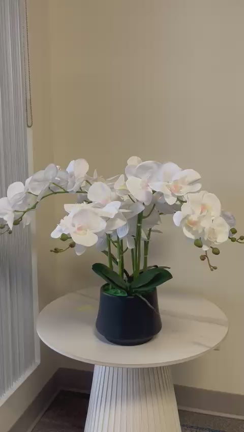 Orchidée Artificielle - Blanche avec Vase Noir