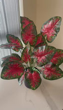 Load and play video in Gallery viewer, Artificial Caladium Tabletop Plant
