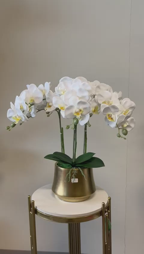 Real touch artificial orchid Arrangement