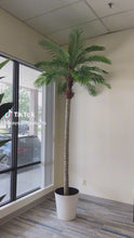 Load and play video in Gallery viewer, Artificial Palm Tree - 10&#39;

