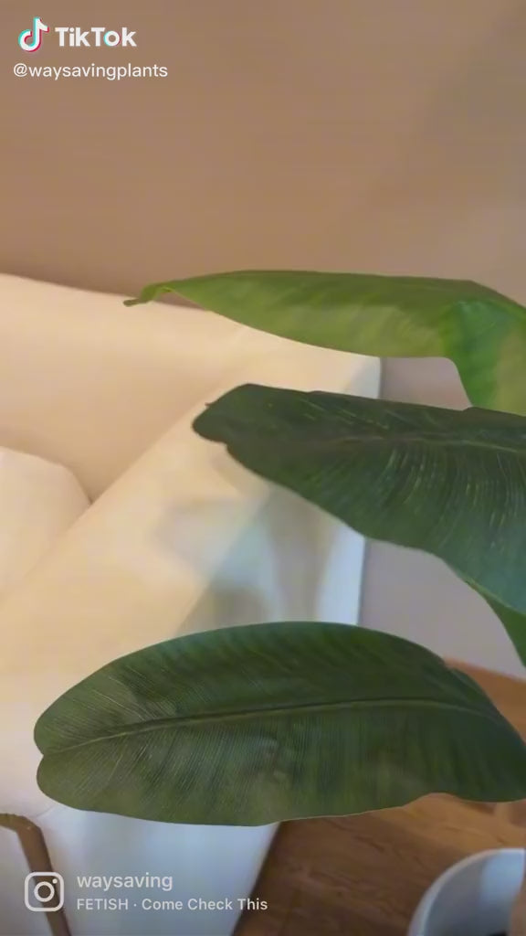 Artificial Banana Tree  - 6' (180cm)