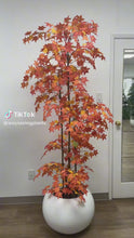 Load and play video in Gallery viewer, Artificial Maple Tree - 7&#39;

