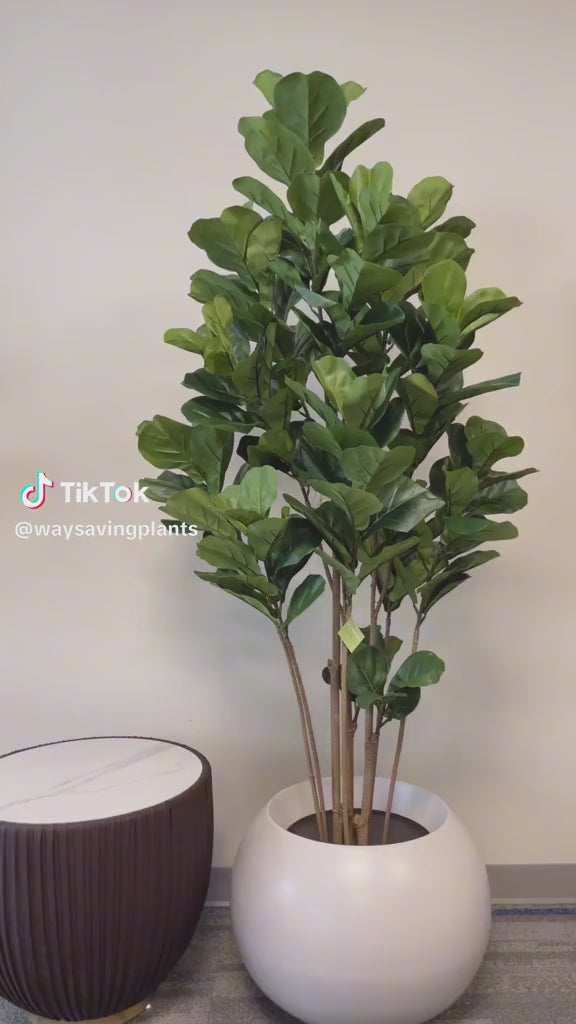 A fiddle-leaf fig tree is placed in a modern, white, rounded pot by a large window, with a snowy outdoor scene visible through the glass. The tree adds a touch of greenery to the indoor space, contrasting with the wintry view outside.