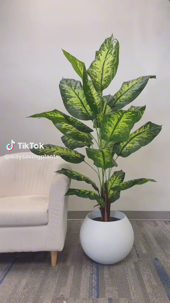 Artificial Dieffenbachia plant - 6'