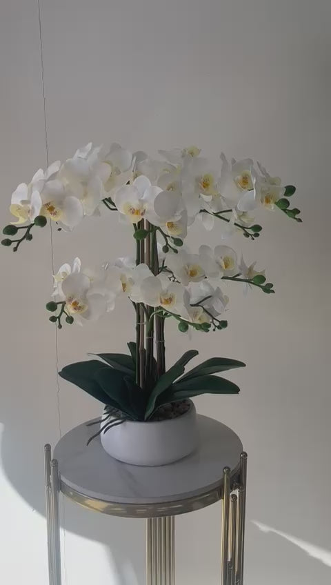 White orchids floral arrangements