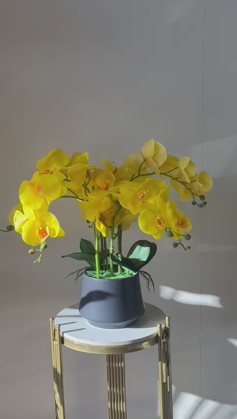 Orchidée Artificielle - Jaune avec Vase Noir